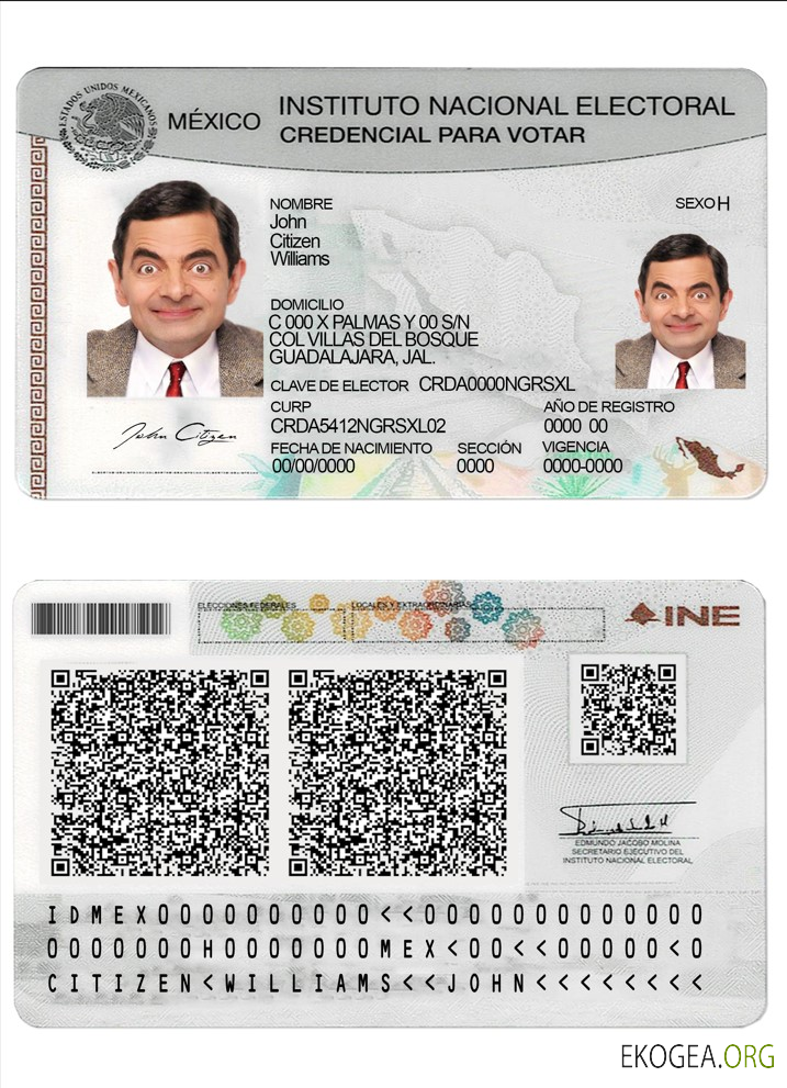 Institut national électoral du Mexique